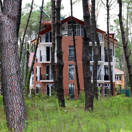 Gina Shekvetili Hotel ภายนอก รูปภาพ