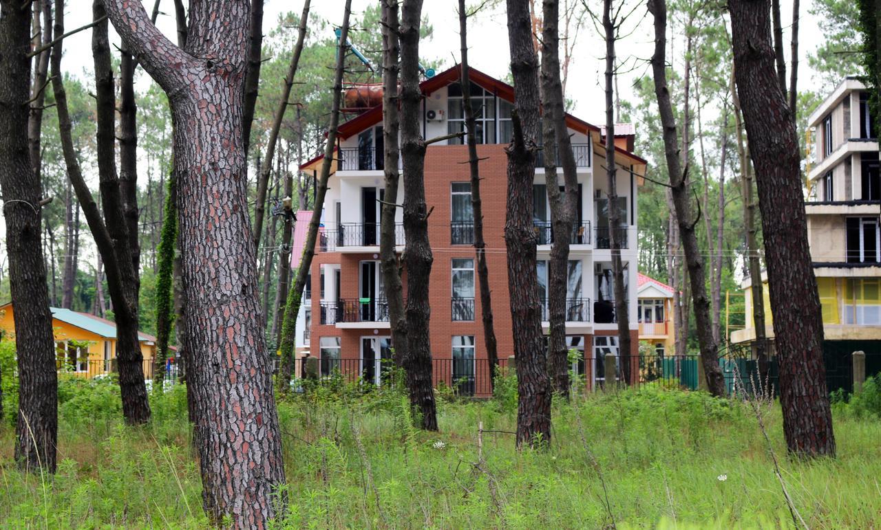 Gina Shekvetili Hotel ภายนอก รูปภาพ